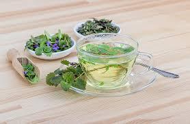 herbal tea cup and saucer with a selection of herbs.