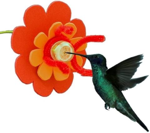 picture of a hummingbird at a homemade hummingbird feeder