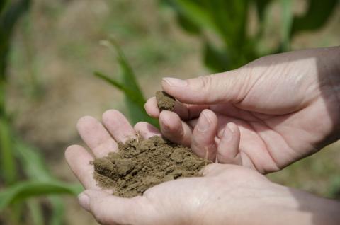 hands holding soil