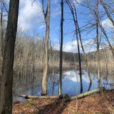 Booth Pond Conservation area