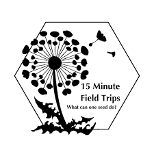dandelion blowing seeds, the logo for 15 Minute field trips