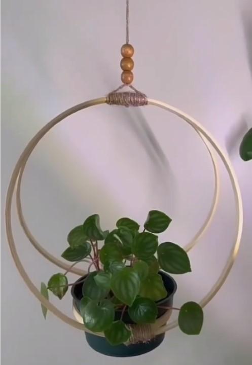 plant hanger