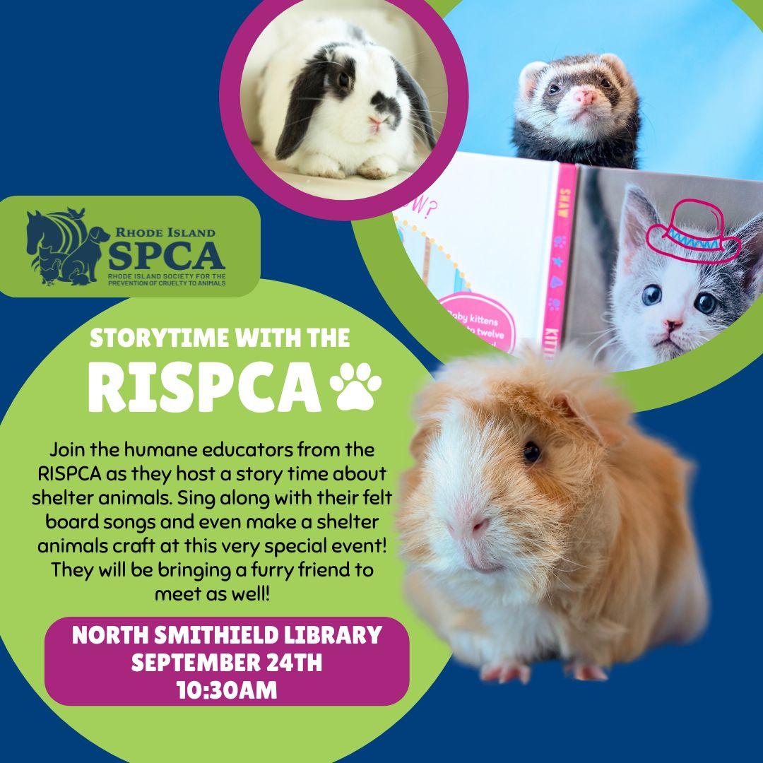 image with text of the storytime event and pictures of guinea pigs, rabbits, ferrets and kittens