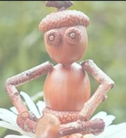 acorn person sitting on a flower